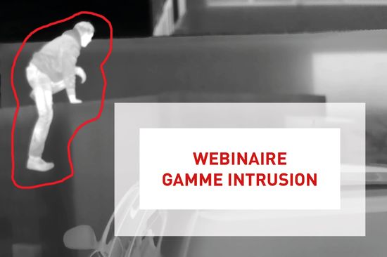 Webinaire Détection d'intrusion